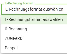 AVR_E-Rechnung_Stammdaten_Geschäftspartner-E-Rechungsformat
