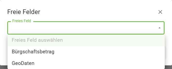 Geschäftspartner-anlegen_Freie Felder_2 Geschäftspartner-anlegen_Freie Felder_2