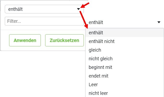 AVR_LV-erstellen_Oberfläche_Spaltenfilter_1
